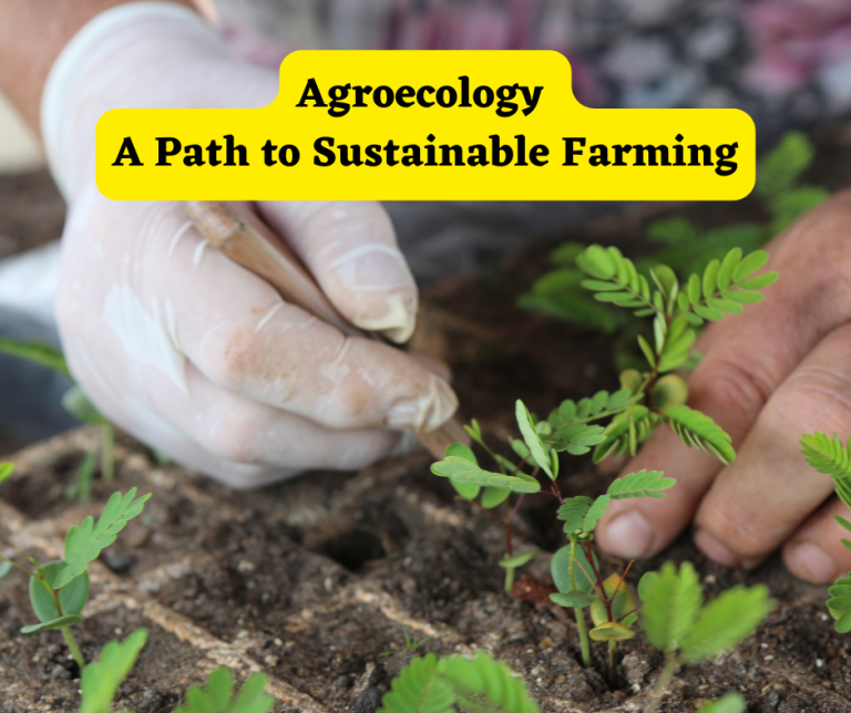 Agroecology