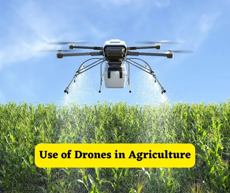 Drones in Agriculture: Revolutionizing Pakistani Farming with Precision Technology