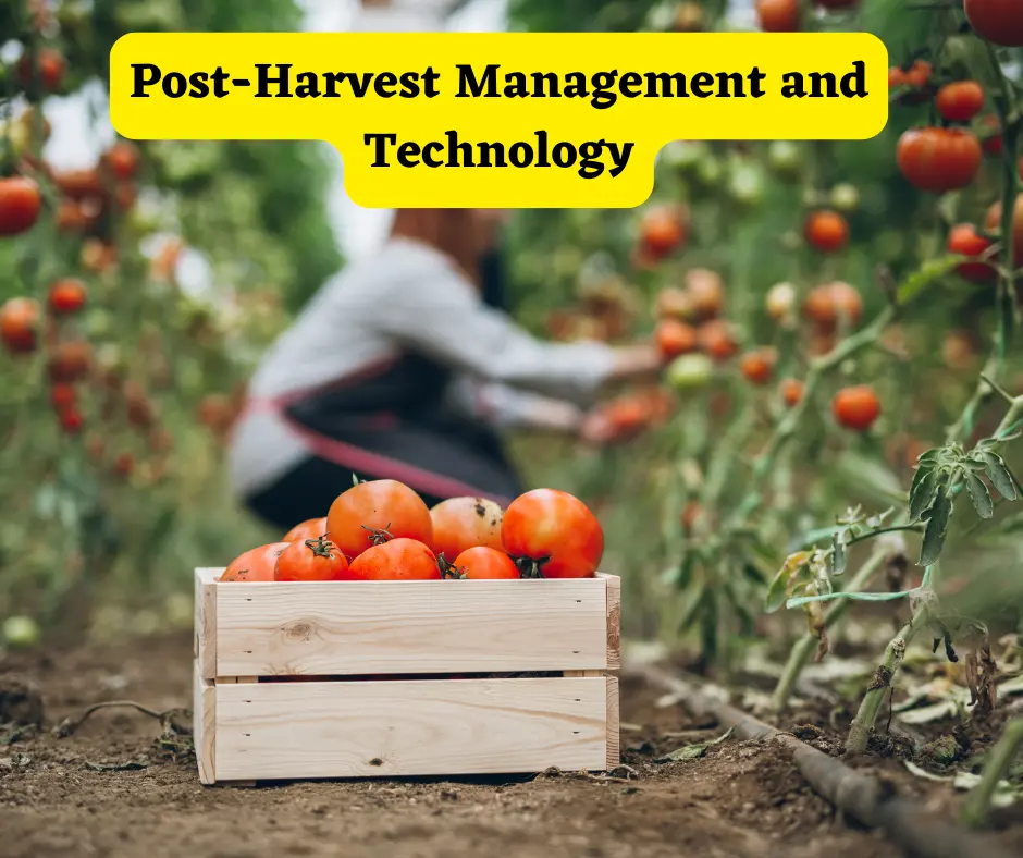 Post-Harvest Management and Technology