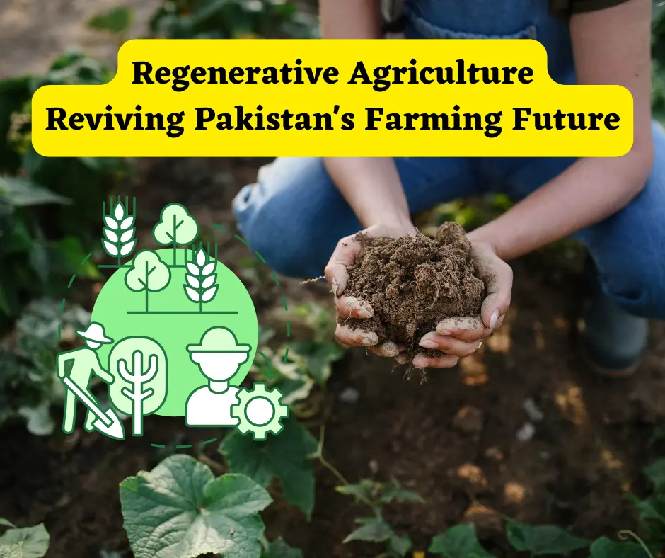 Regenerative Agriculture