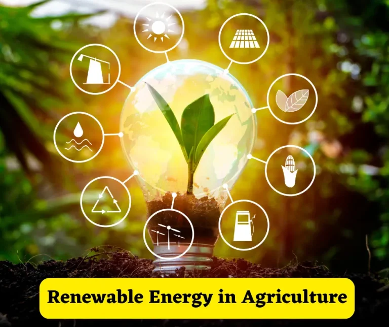 Renewable Energy in Agriculture