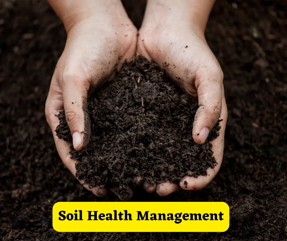 Soil Health Management